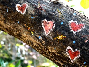 Hearts painted on a tree