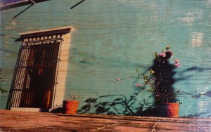 Photo Transfer Alamos