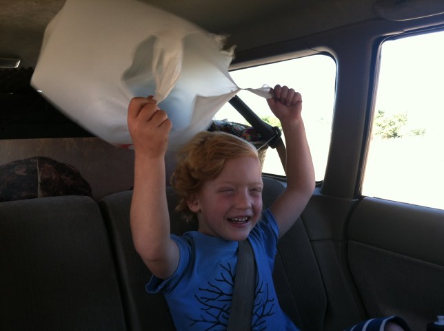 Owen making the most of a hot and windy car ride. Such a trooper.